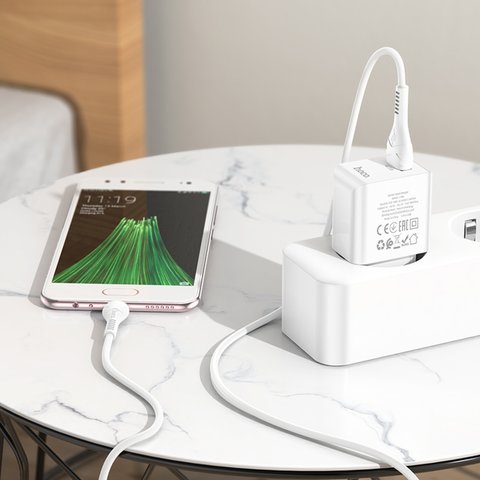 Mains Charger Hoco C98A, (18 W, Quick Charge, white, 1 output) #6931474766854 Preview 1